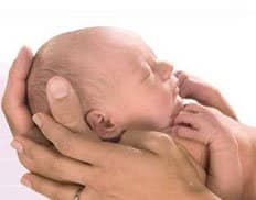 Slider image (10) inSer - Human IVF and Fertility Center